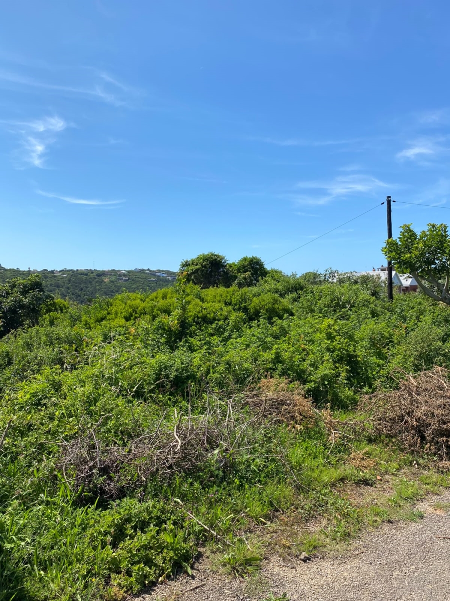 0 Bedroom Property for Sale in Riversbend Eastern Cape